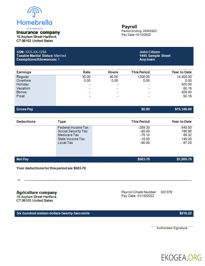 modèle de relevé de revenus de compagnie d'assurance entièrement modifiable aux formats Word et PDF